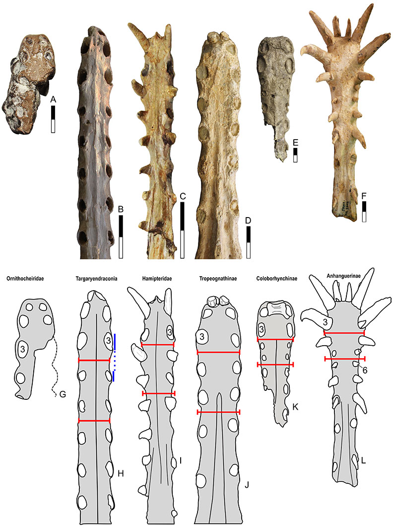 figure5