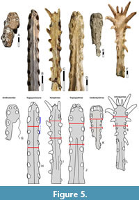 s figure5