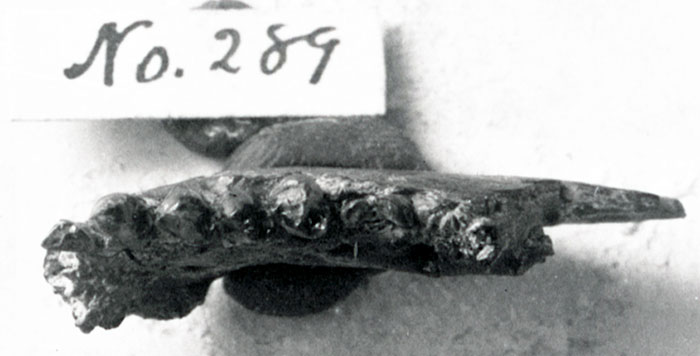 figure1
