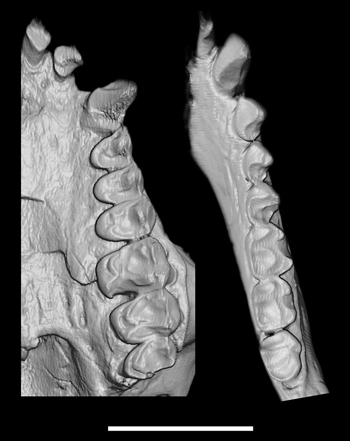 figure11