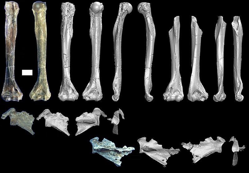 figure12