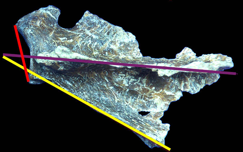figure13