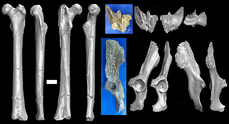 figure14