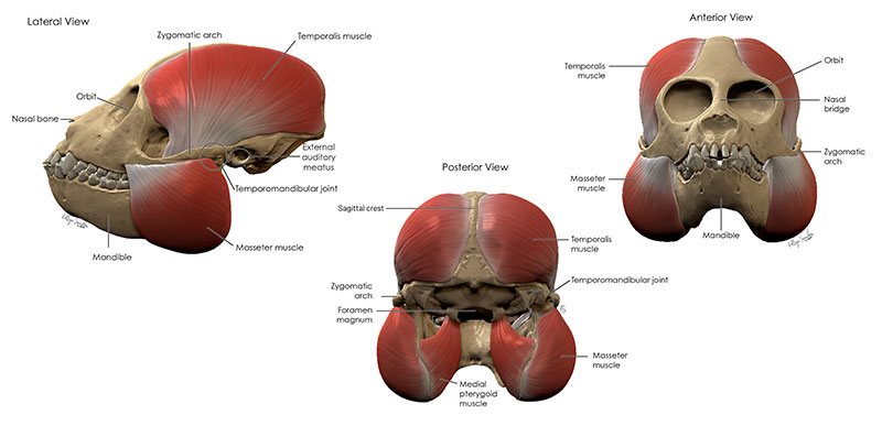 figure15