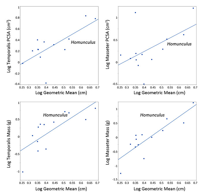 figure16