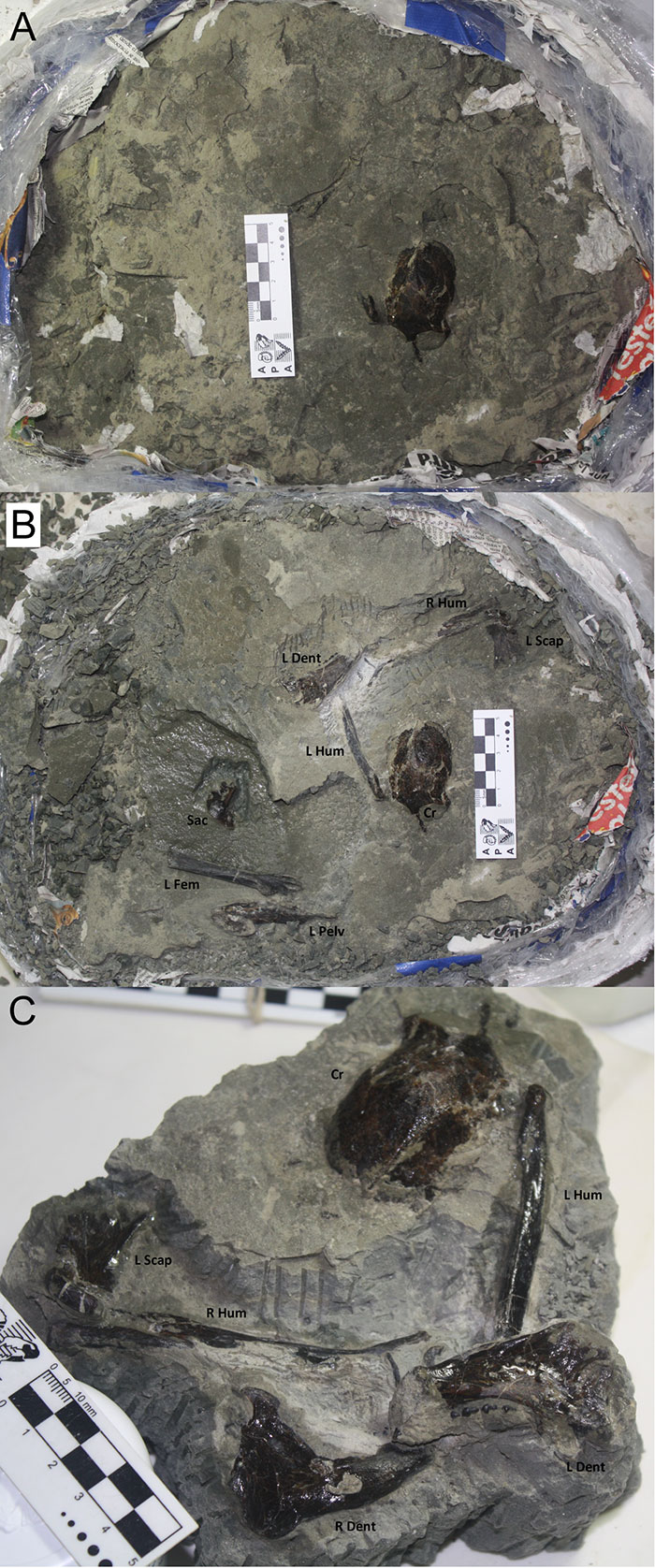 figure3