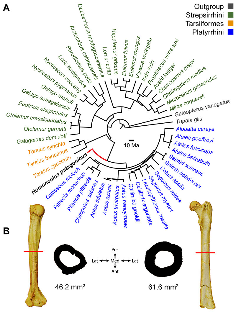 figure4
