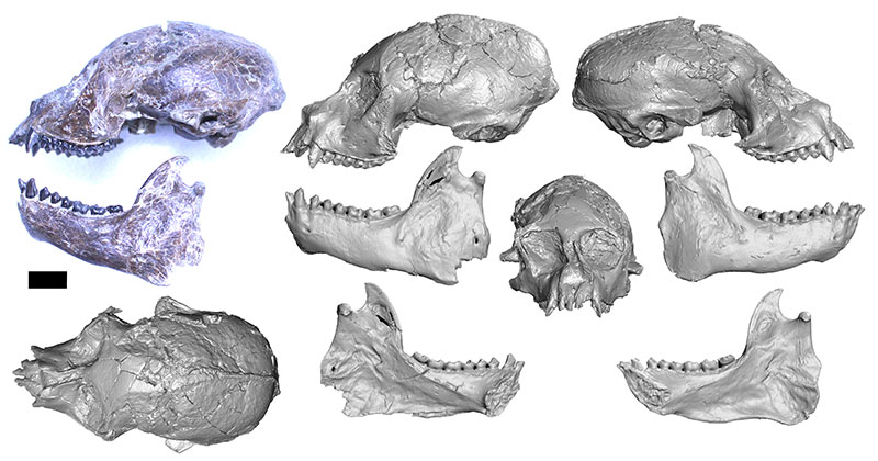 figure5