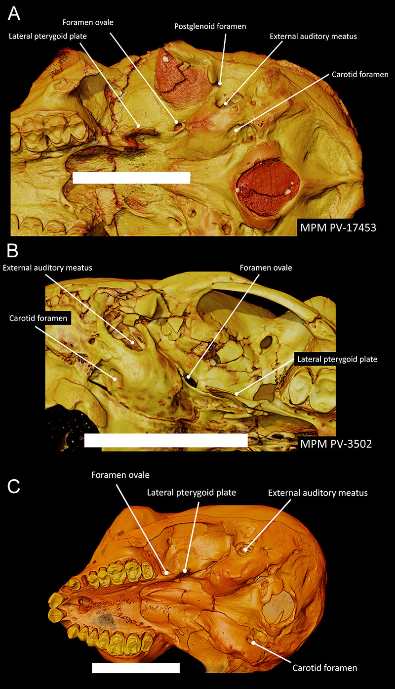 figure9