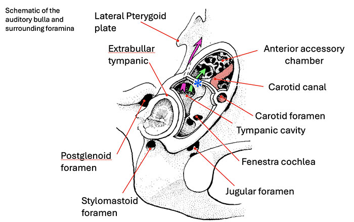 figure9