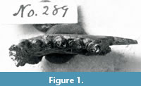 s figure1