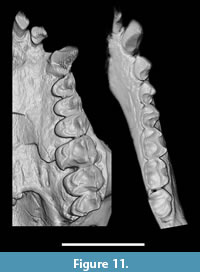s figure11