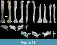 s figure12