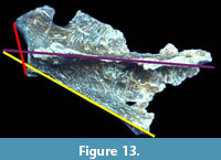 s figure13