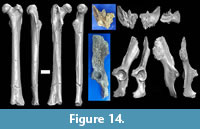 s figure14