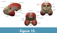 s figure15