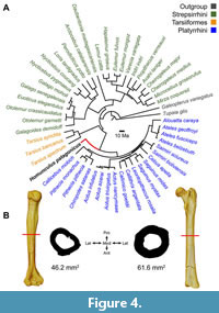 s figure4