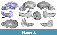 s figure5