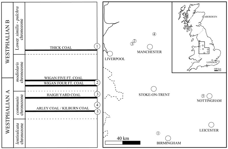 fig2