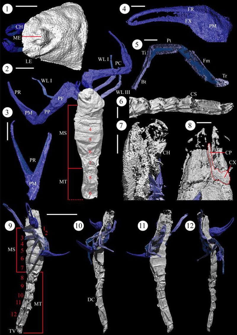 fig3