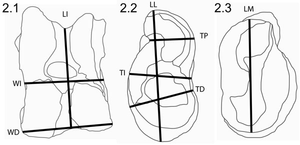 Figure 2.