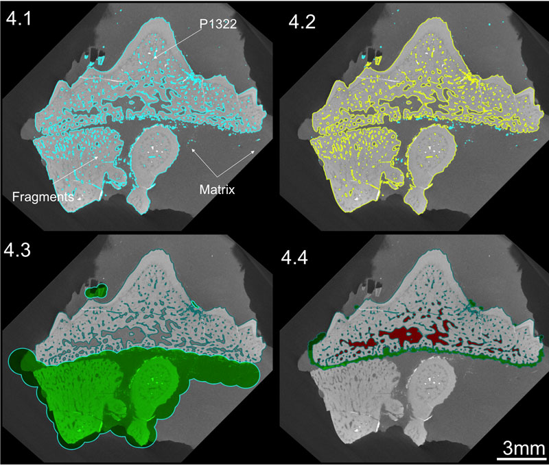 fig4