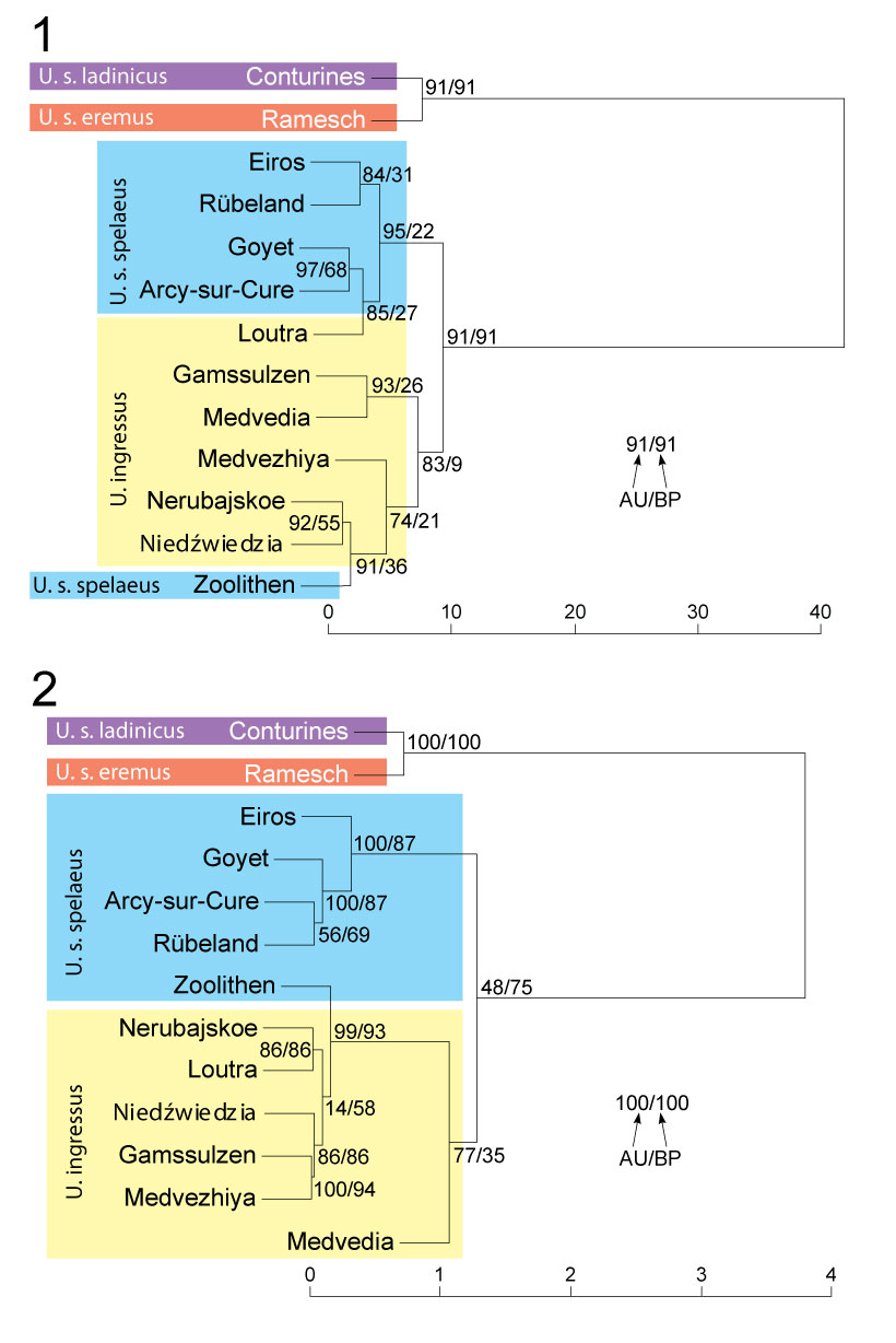 fig2