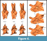 s figure 6