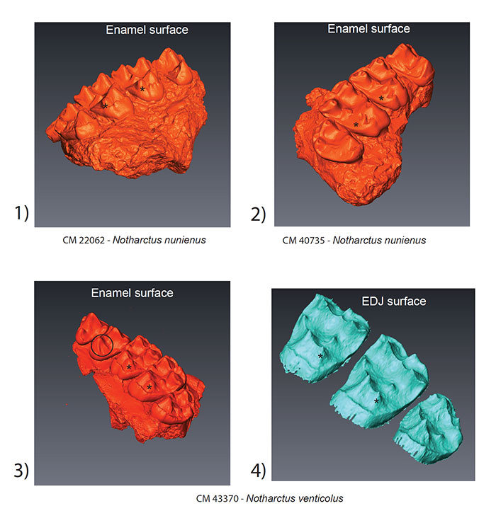 figure 2 2