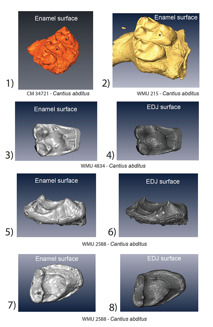 figure 3 2