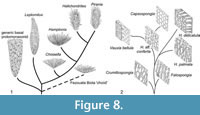 s figure 8