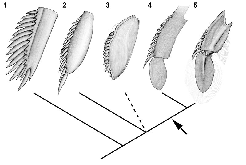 fig6