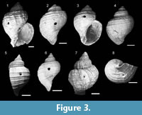 s figure 3