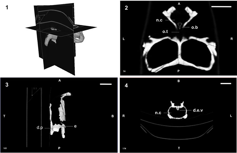 figure1