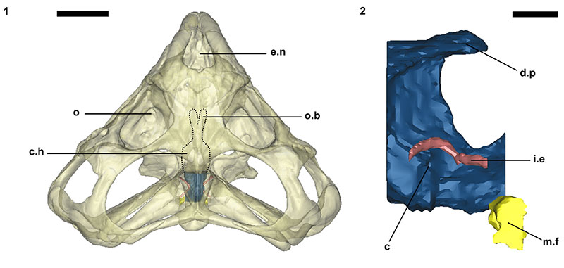 figure3