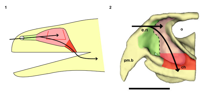 figure4