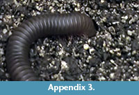 s appendix3
