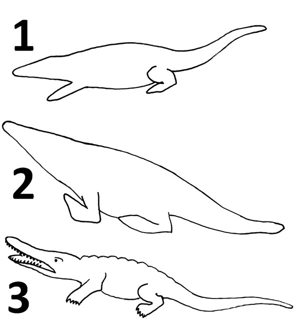 El Reptileano on X: Deinocheirus in his Accurate form These dinosaurs  were a very good and at the same time tedious practice on how to draw  feathers and I perfected my technique