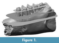 s figure1