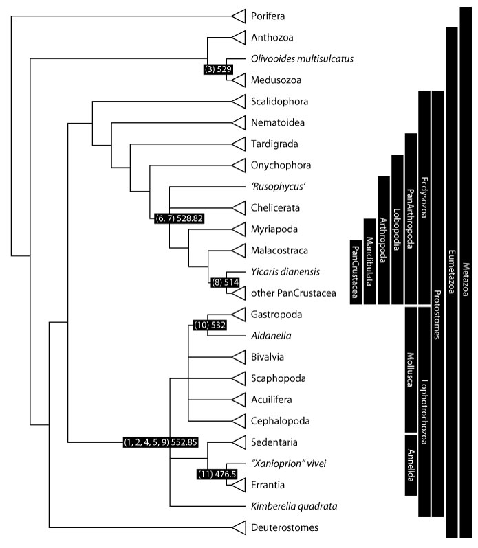 figure1