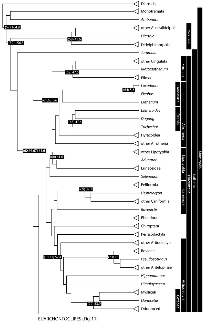 figure10