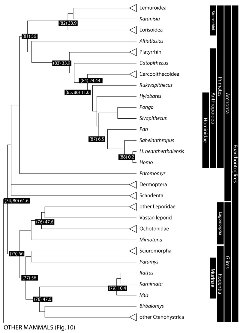 figure11