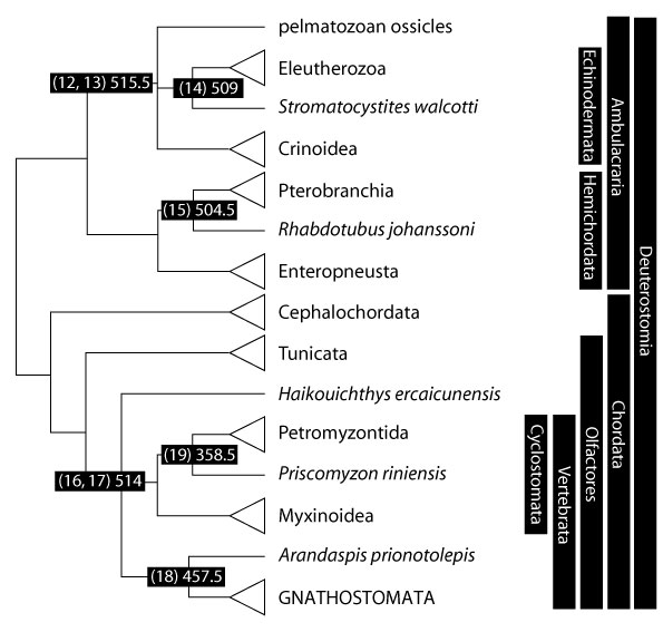 figure2