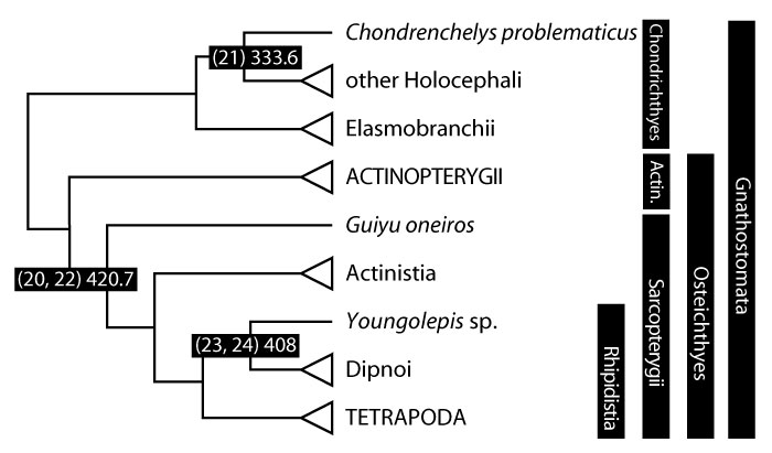 figure3