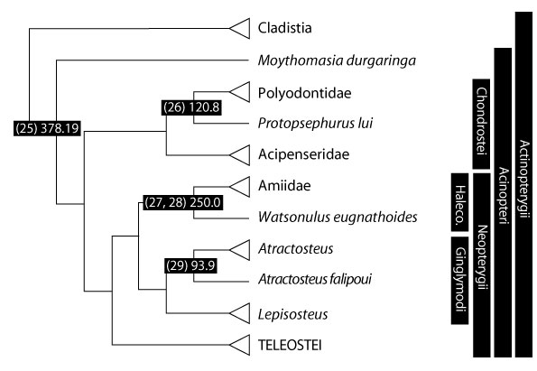 figure4