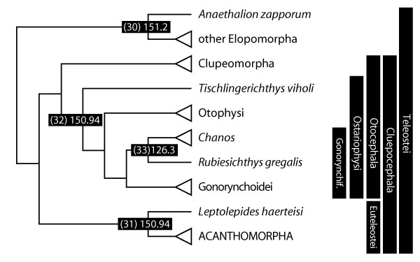 figure5