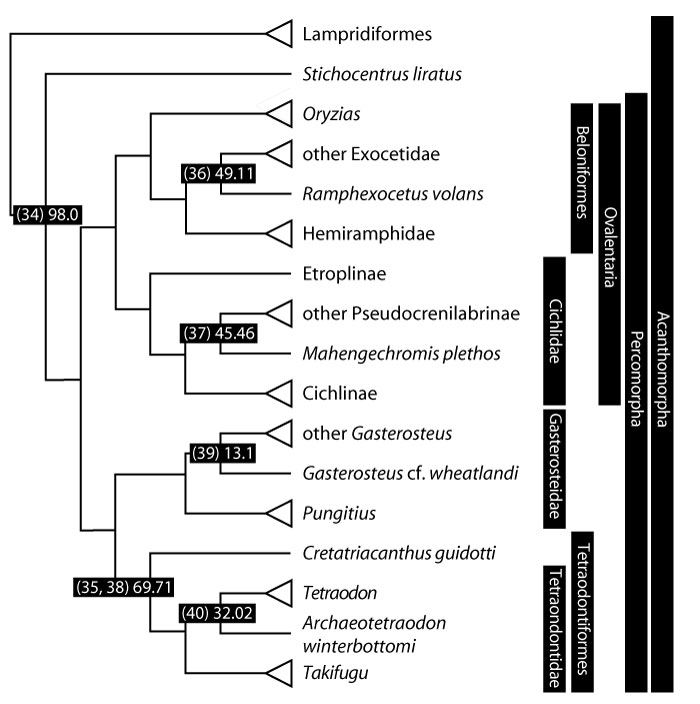 figure6