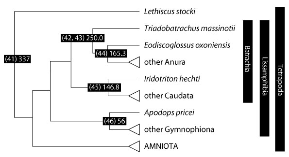 figure7