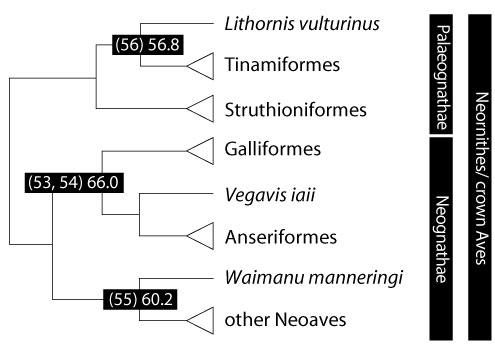 figure9