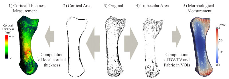 fig2